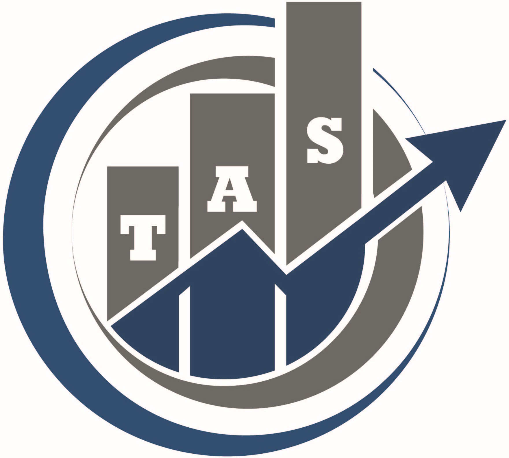 TAMEZ ACCOUNTING SOLUTIONS SAS DE CV